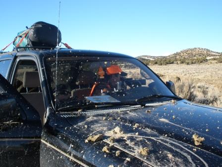 Hunting in N.W. Colorado