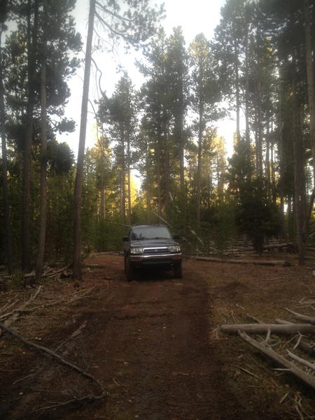 Hunting Trip