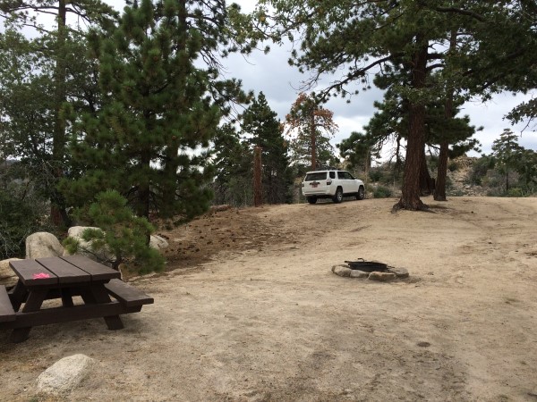 I think I'm going to have to camp here next time!