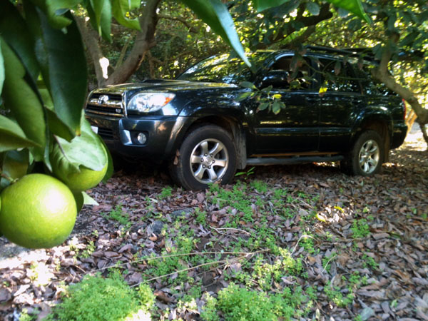 I was sliding sideways back down the tiny road in L4 from the weigh of the truck on the wet leaves with decomposed granite mud underneath. Even with a