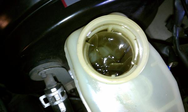 IMAG0256