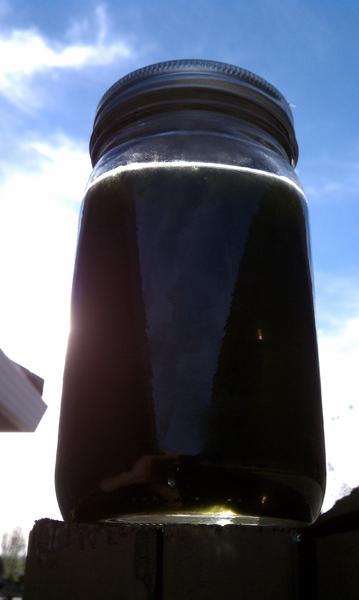 IMAG0272