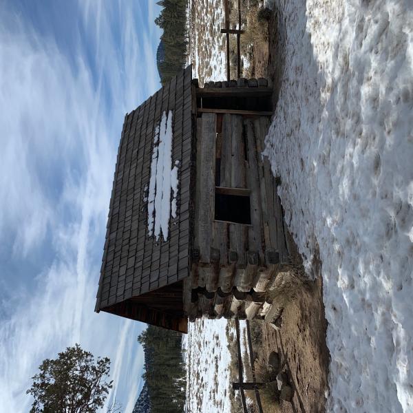 image7