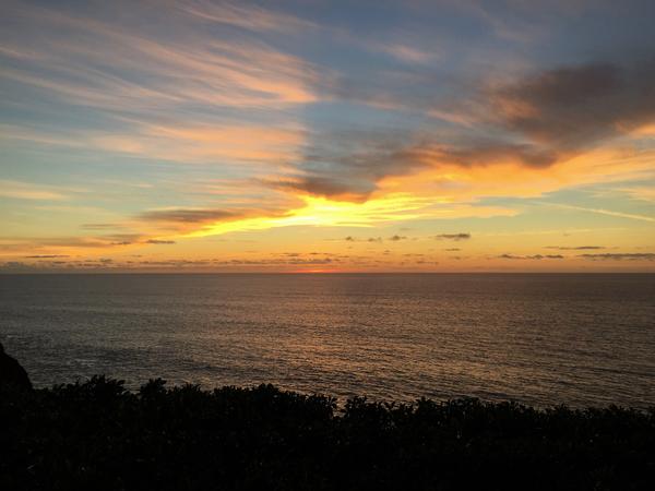 IMG 0391 (2)