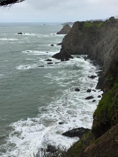 IMG 0413 (2)