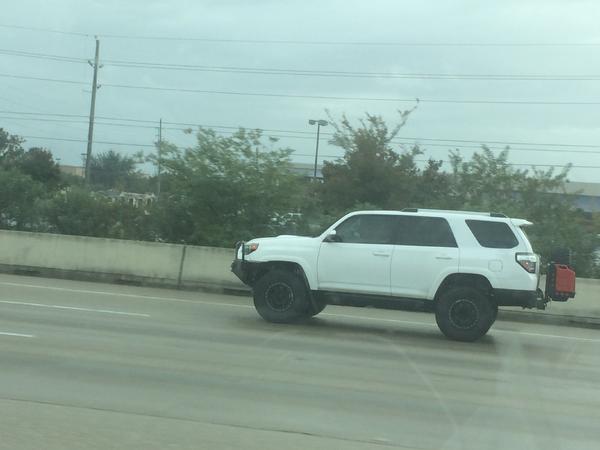 IMG 0532