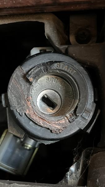 IMG 0785