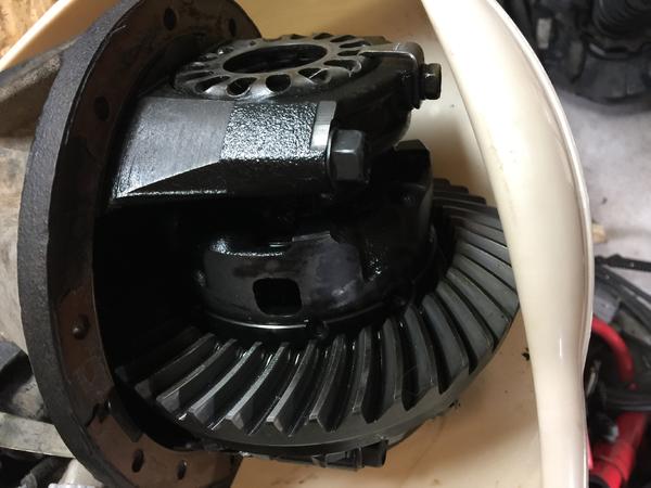 IMG 0842