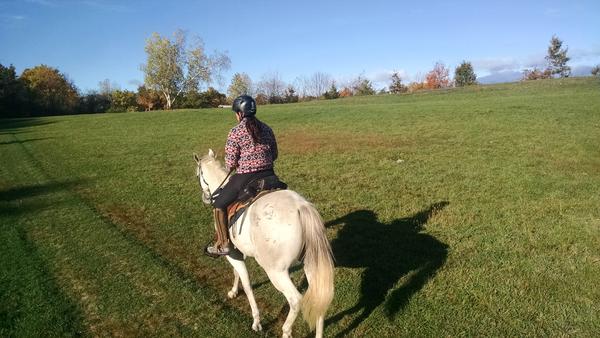 IMG 20141019 091117973