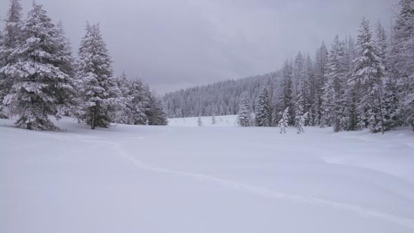 IMG 20141227 070100