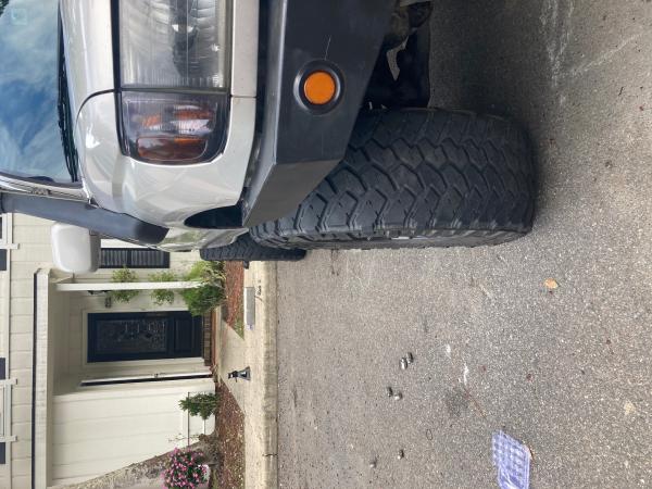 IMG 2517