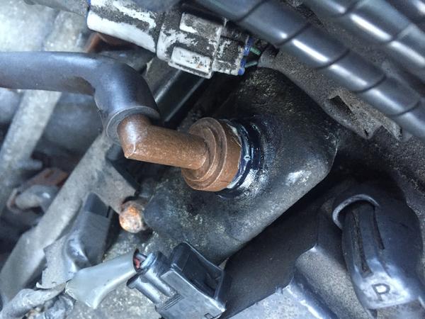IMG 3874