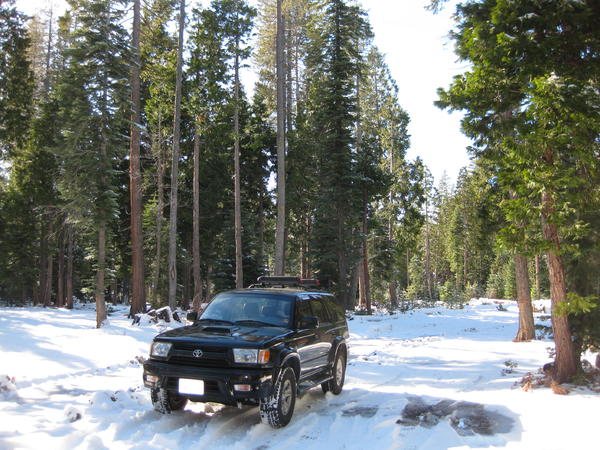 IMG 4516
