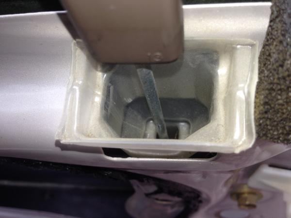 IMG 4539