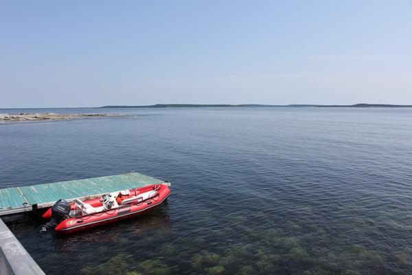 IMG 4859