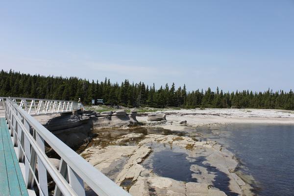 IMG 4863