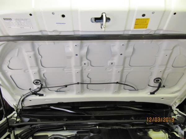 IMG 6904 KC under hood light
