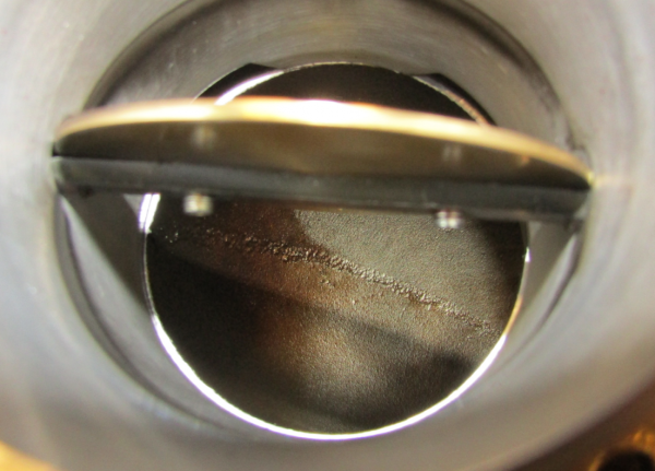 IMG 7379.JPG