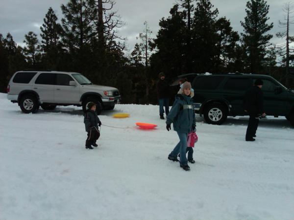 IMG00050 20100101 1420