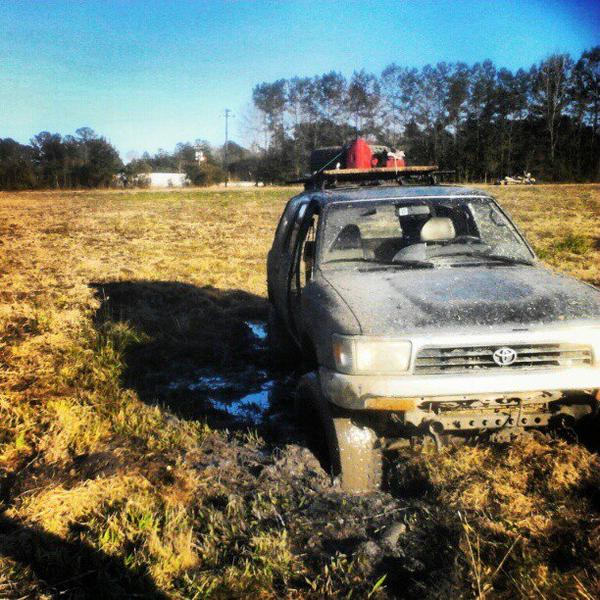 in a boggy field
