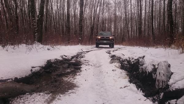 in a swamp where i broke through the top layer of ice