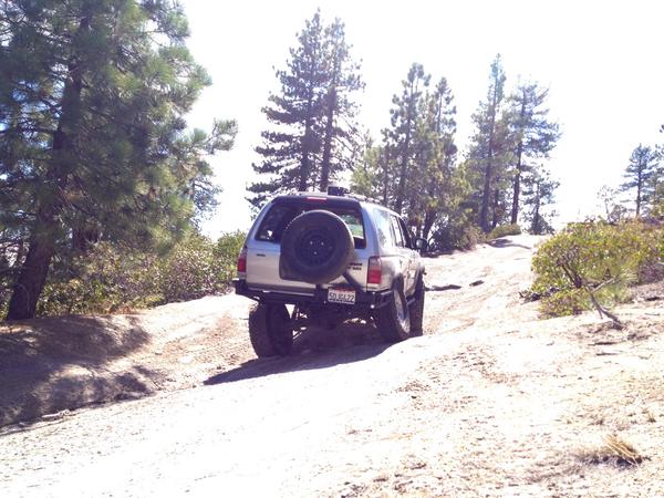 In its natural habitat.
