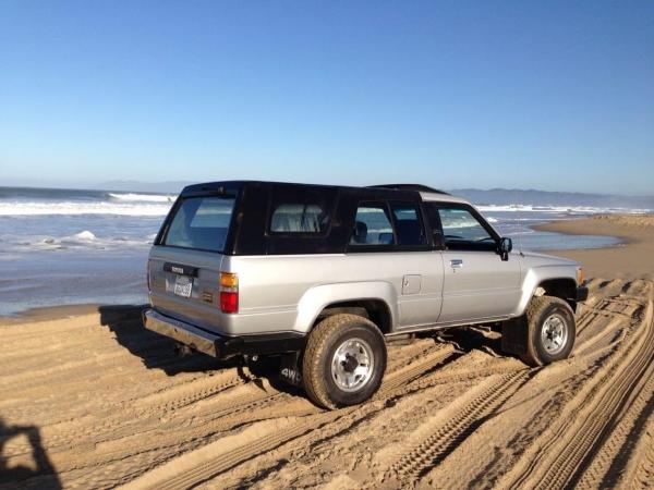 In its prime (courtesy of PO)