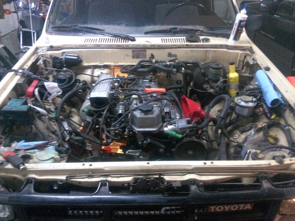 In she goes