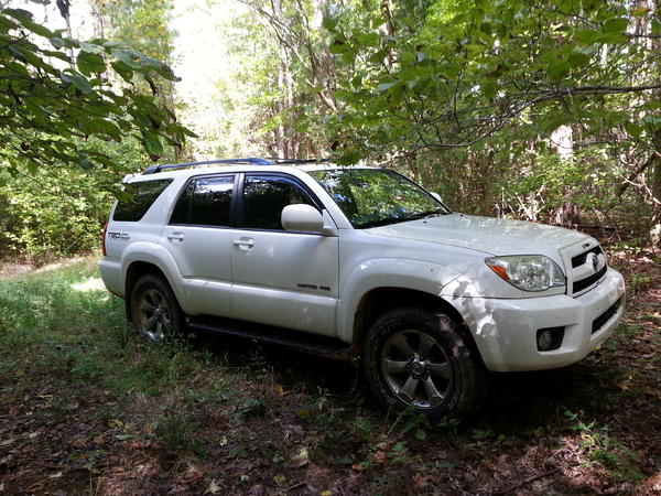In the woods at my family's land near the NC/VA border.