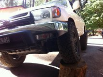 it was allot easier to have it up on a stump to cut trim it down