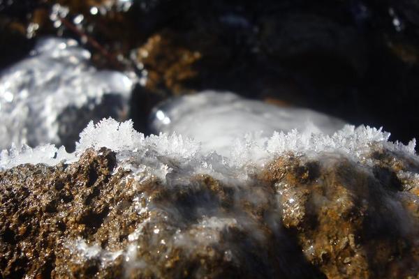 Jan 10, 2011 065 2