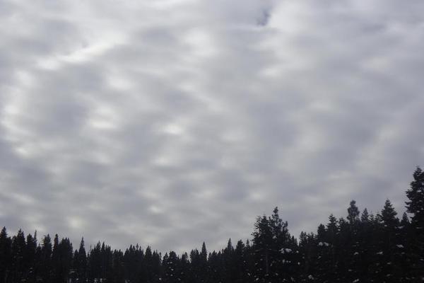 Jan 10, 2011 075 2