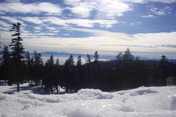 Jan 10, 2011 093 2