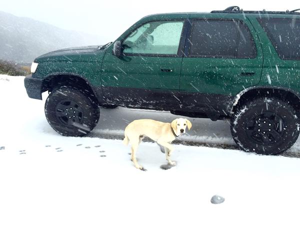 January 2016 / Plasti dipped the 1/4 panel / First snow trip after / New adjustable Bilstein 5100's up front (lagging on the rear end)