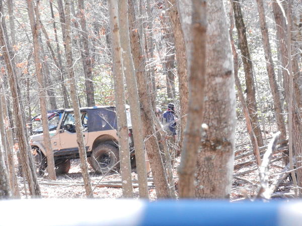 Jeeps in the woods