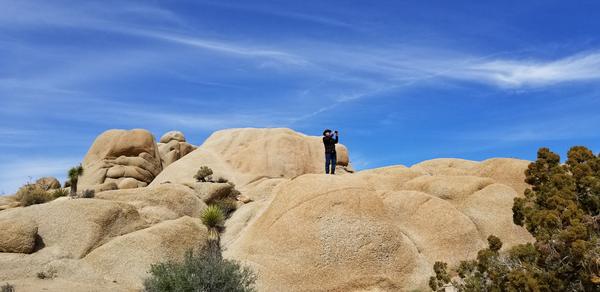 Joshua Tree NP, CA