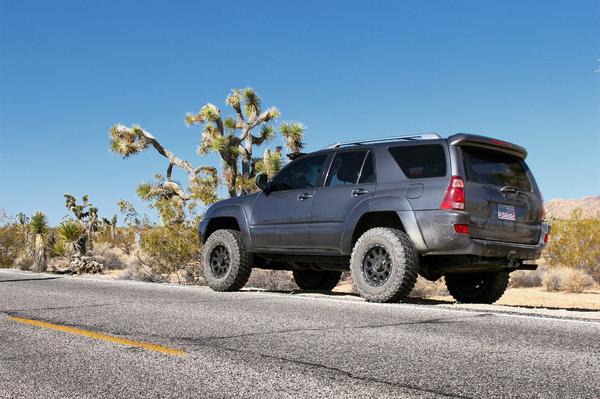 Joshua Tree