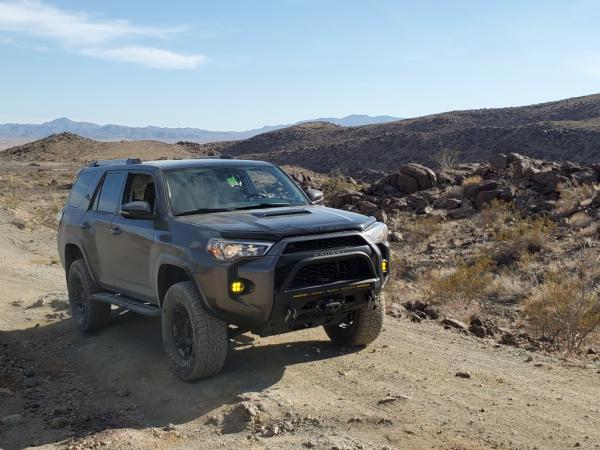 Joshua Tree