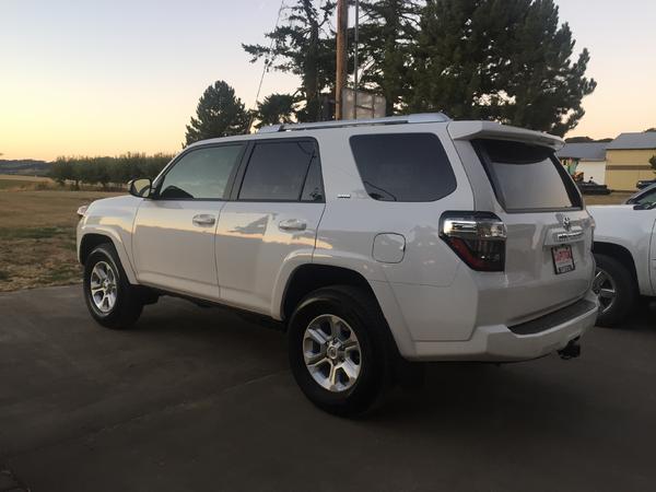 July 29th, Just got the newest member of the family home!