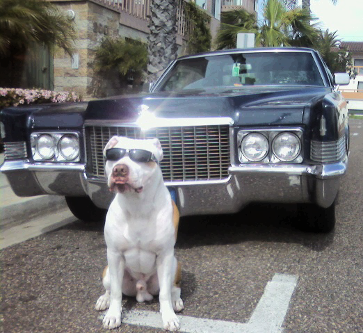 Just being a bad ass