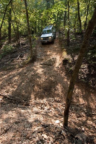 Just one of the hills in the woods.
