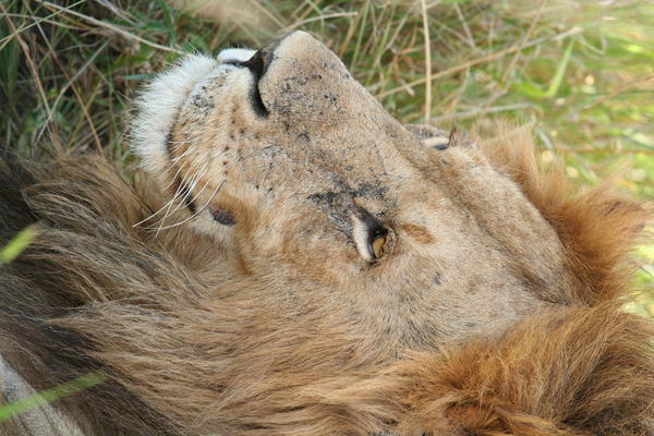 Just wanna nap...