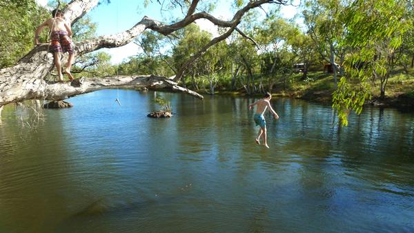 Kids will allways find a tree to jump from !!!
