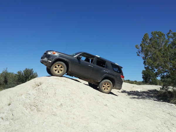 King of the Hill