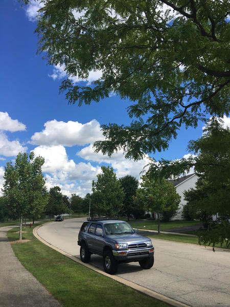 King of the suburban jungle (for now).
