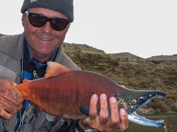 kokanee buck