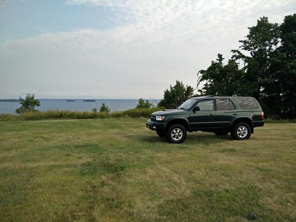 Lake Ontario grass