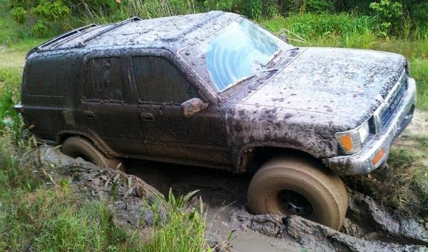 last time i went to the woods