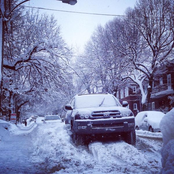 Last winter was kinda fun.