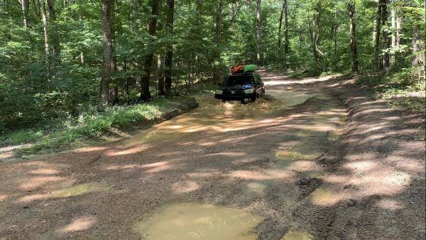 LBL mud hole #2